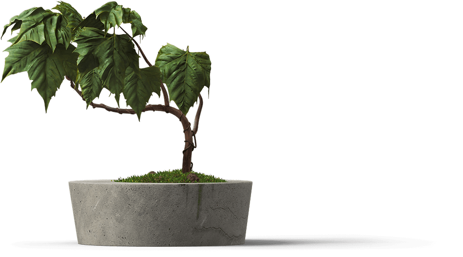 tree
